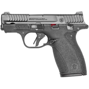 Smith & Wesson M&P Bodyguard 2.0 .380 ACP, 2.75 in barrel, black polymer frame, two 10-round magazines