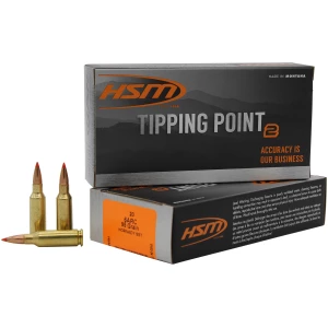 HSM 6mm ARC 95gr Super Shock Tip (SST) 20rd box product image