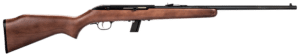 Savage 64G .22 LR semi-auto rifle with blued barrel and hardwood sporter stock, 10-round detachable magazine