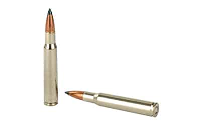 Federal Premium Trophy Copper .30-06 Springfield 165 gr ammunition 20rd box