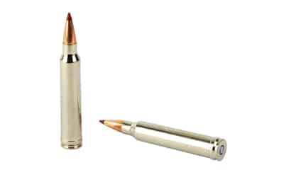 Federal Premium ELD-X .300 Win Mag 200 gr box, 20 rounds