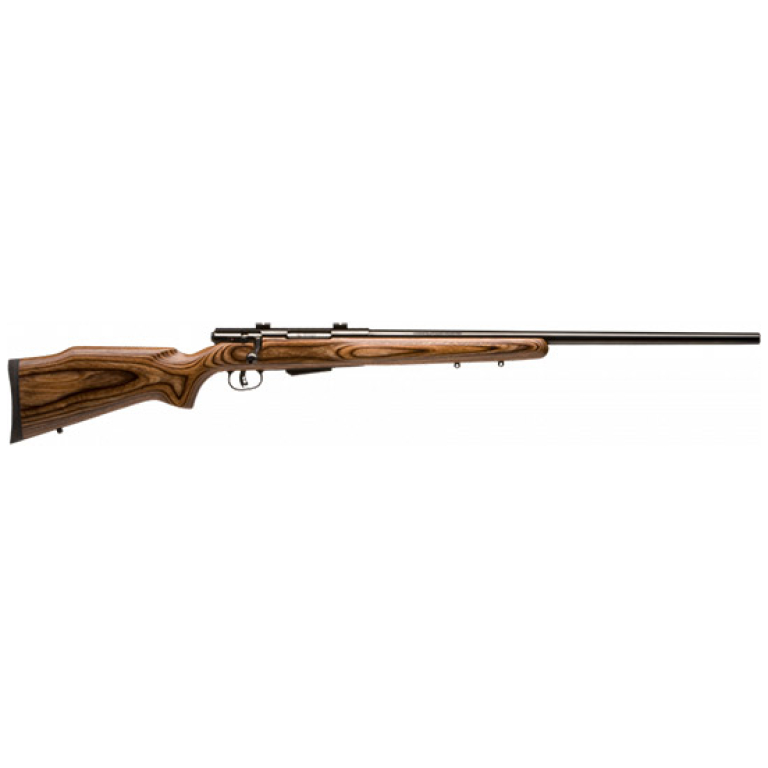 Savage 25 Lightweight Varminter .204 Ruger 24 inch laminate stock bolt-action rifle
