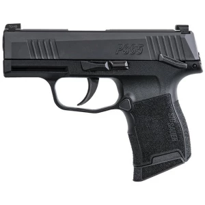 Sig Sauer P365 MS .380 ACP 3.1 inch black Nitron slide polymer grip two 10-round magazines